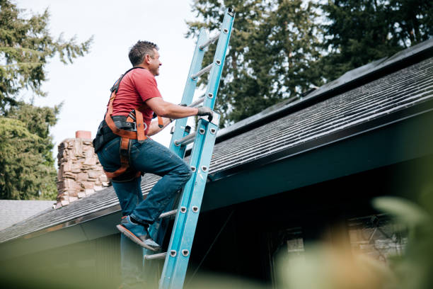 Best Cold Roofs  in Picacho Hills, NM